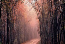 多多28：2-1！世界第一轰然倒地，贾一凡／张殊贤笑傲德比，夺赛季首冠！.