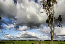 多多28：感谢恒大！18岁新星昨晚上演“梅西式过人”：4人都拉不住！.