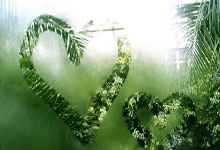 多多28：是否会辞职？莫塔：这太简单了，而我不喜欢简单的事情.